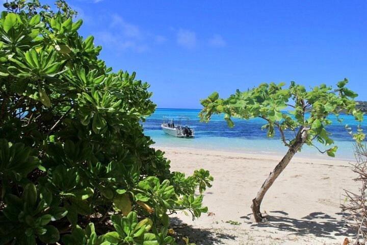 Coconut Beach Resort Tavewa Island Esterno foto
