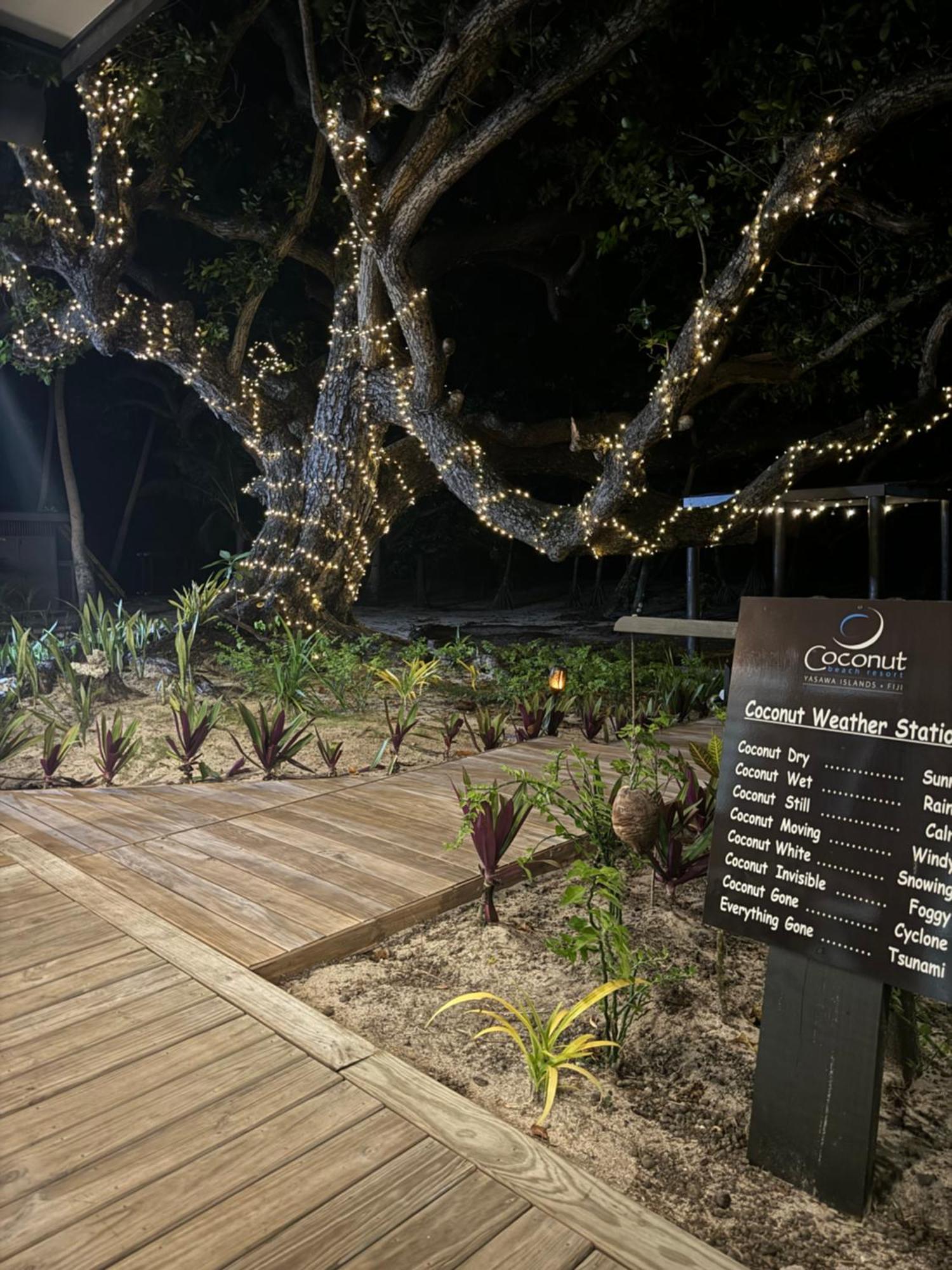 Coconut Beach Resort Tavewa Island Esterno foto