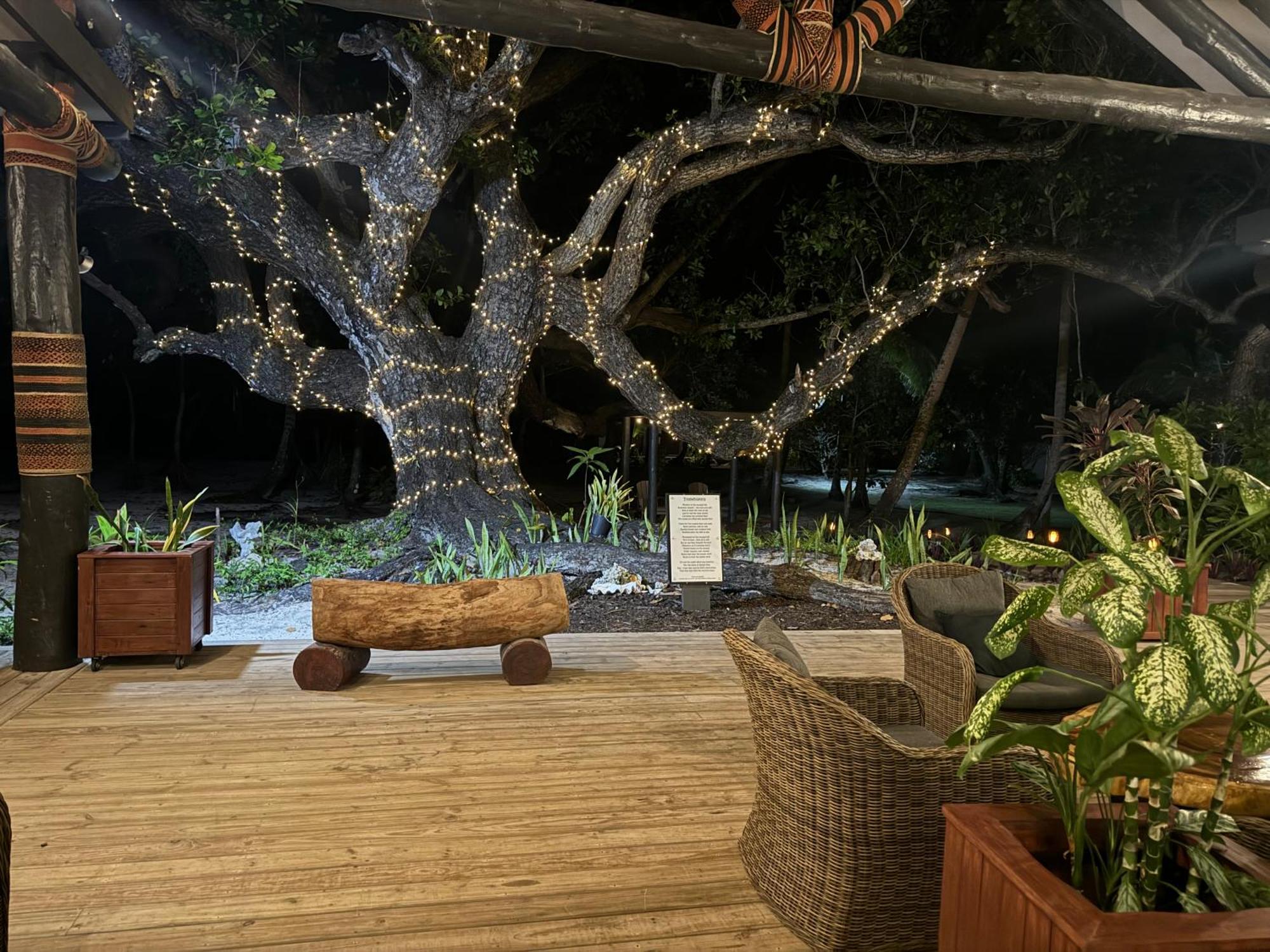 Coconut Beach Resort Tavewa Island Esterno foto