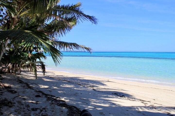 Coconut Beach Resort Tavewa Island Esterno foto