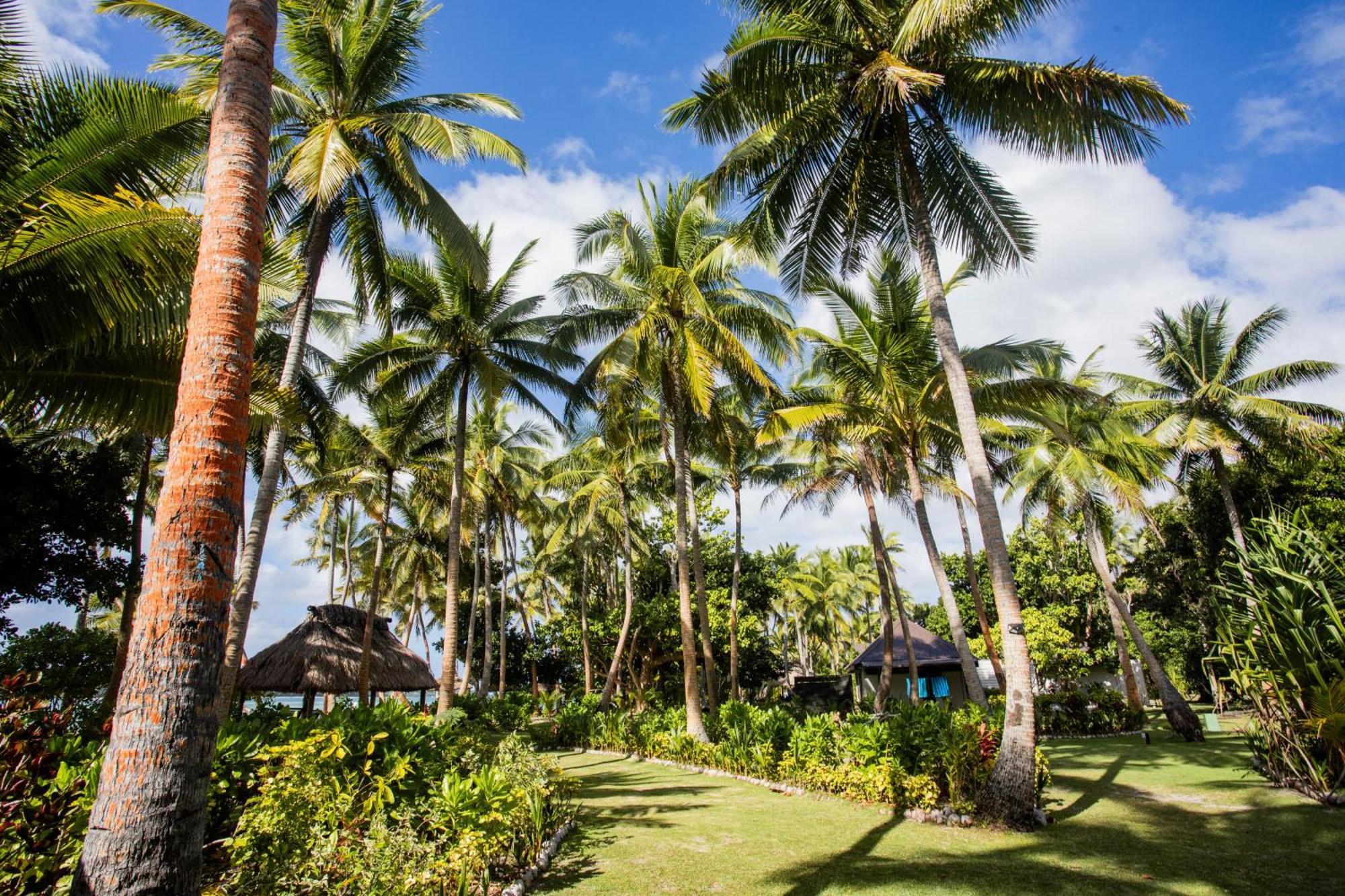 Coconut Beach Resort Tavewa Island Esterno foto