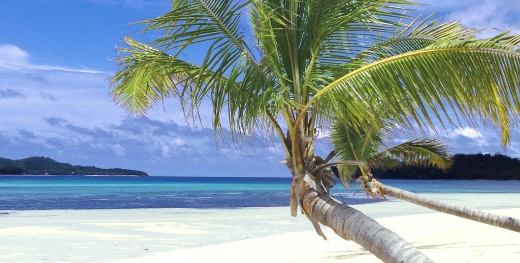 Coconut Beach Resort Tavewa Island Esterno foto